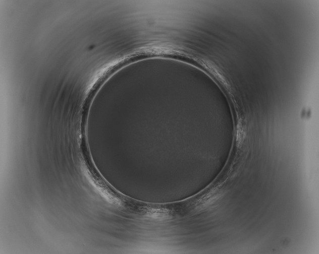 X0000112040438200908031520
