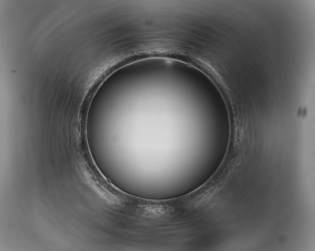 X0000112040439200908031520