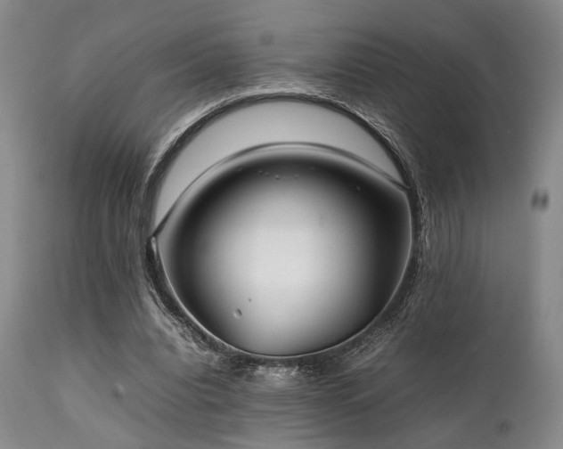 X0000112040440200908031520