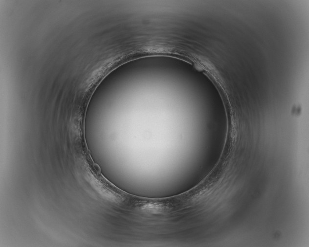 X0000112040441200908031520