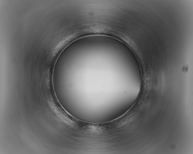 X0000112040442200908031520
