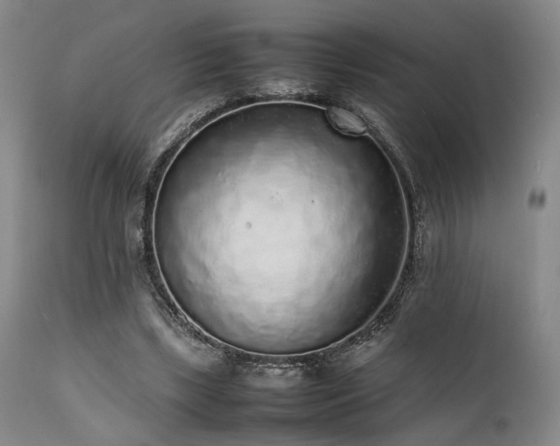 X0000112040443200908031520