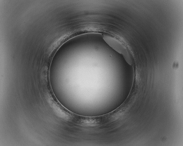 X0000112040445200908031520