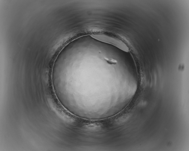 X0000112040447200908031520