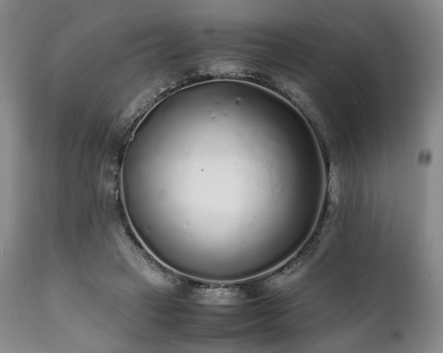 X0000112040449200908031520