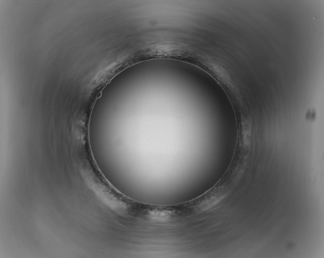 X0000112040450200908031520