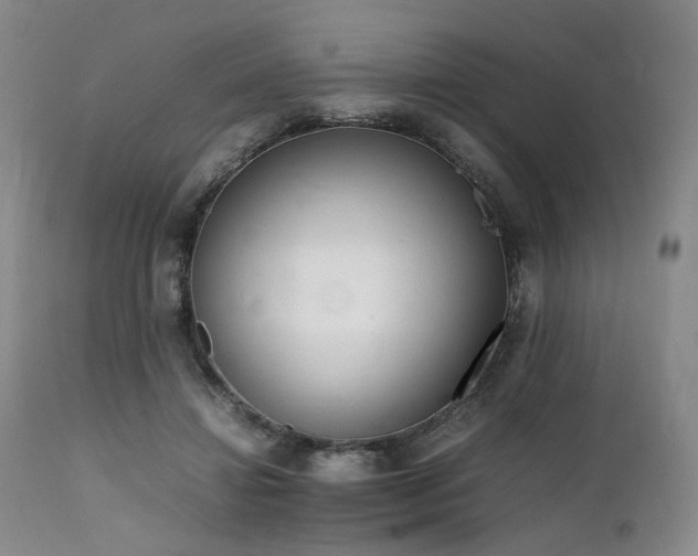 X0000112040452200908031520