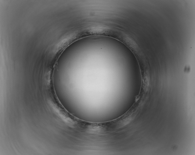 X0000112040454200908031520