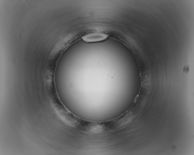 X0000112040456200908031520