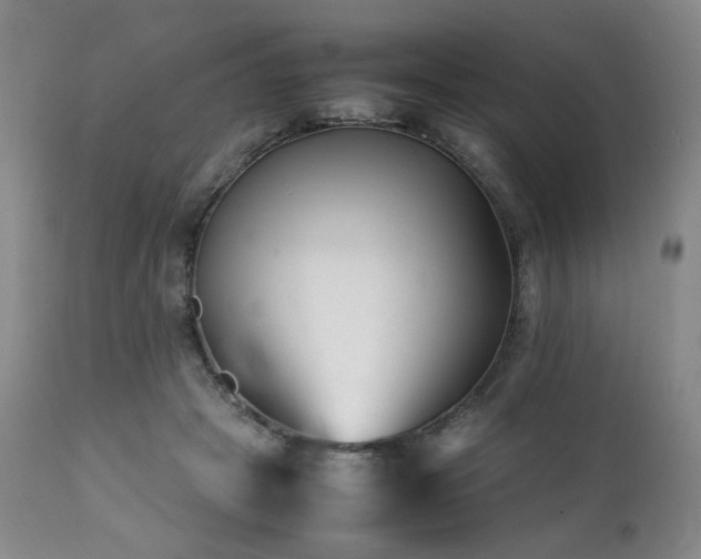 X0000112040457200908031520