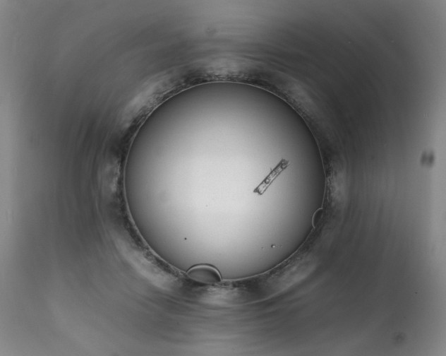 X0000112040458200908031520