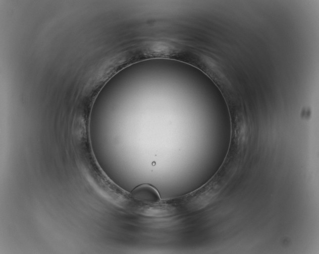 X0000112040459200908031520