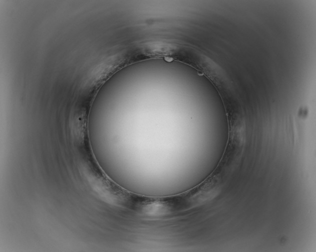 X0000112040460200908031520