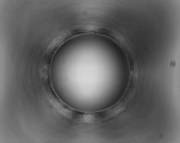 X0000112040462200908031520
