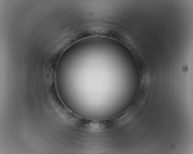 X0000112040464200908031520