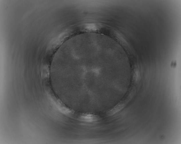 X0000112040467200908031520