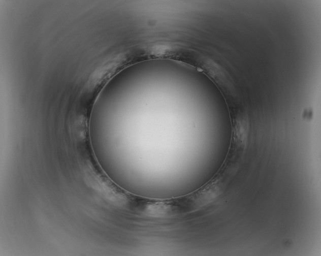 X0000112040470200908031520