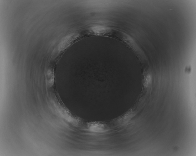 X0000112040471200908031520
