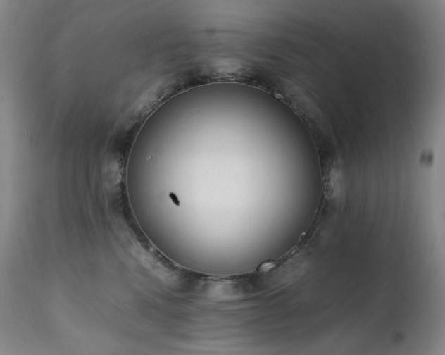 X0000112040472200908031520