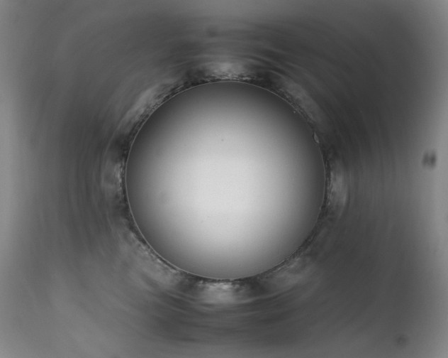 X0000112040473200908031520