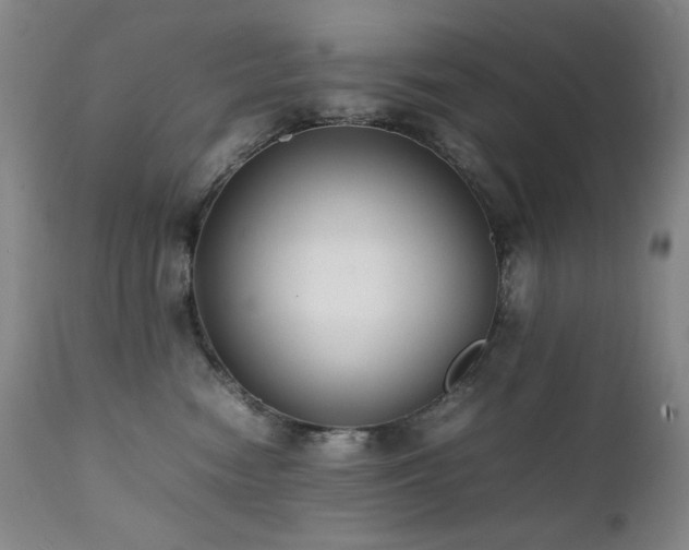 X0000112040474200908031521