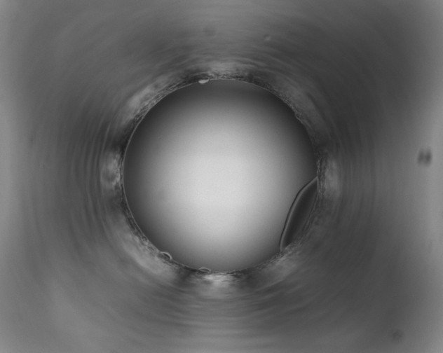 X0000112040478200908031521