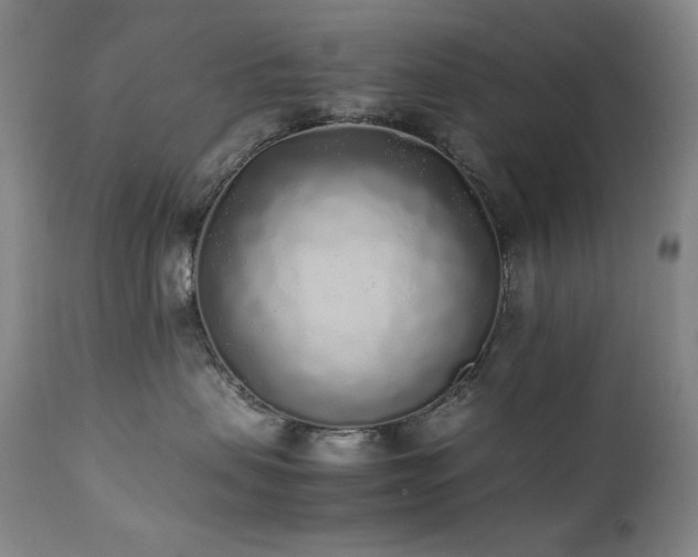 X0000112040479200908031521