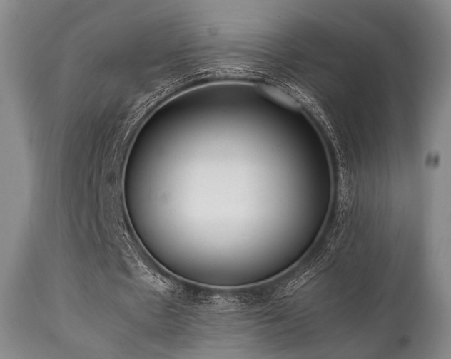 X0000112040481200908031520