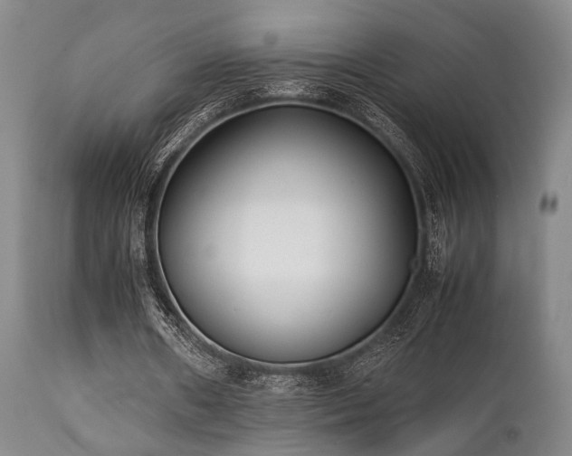 X0000112040482200908031520