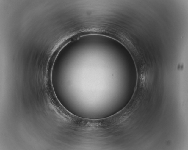 X0000112040484200908031520