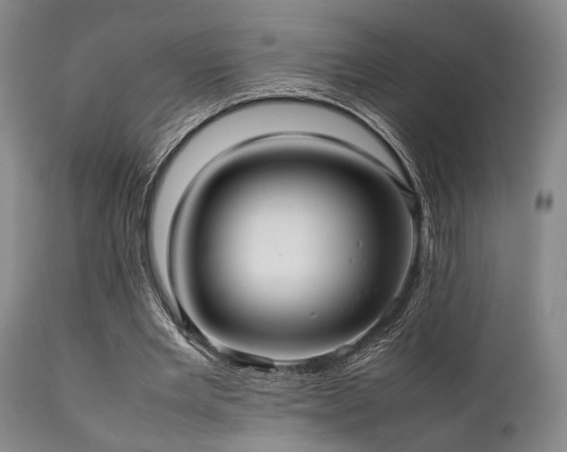 X0000112040485200908031520