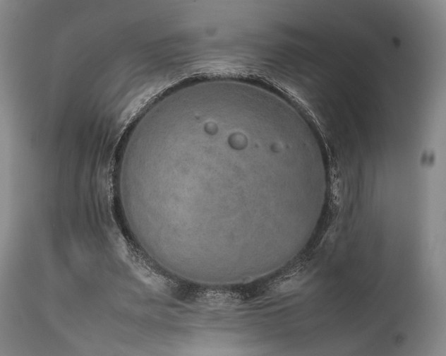 X0000112040487200908031520