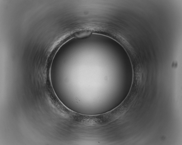 X0000112040488200908031520