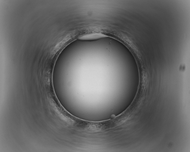 X0000112040489200908031520
