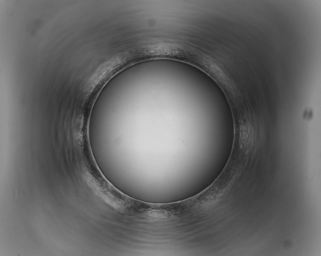 X0000112040490200908031520
