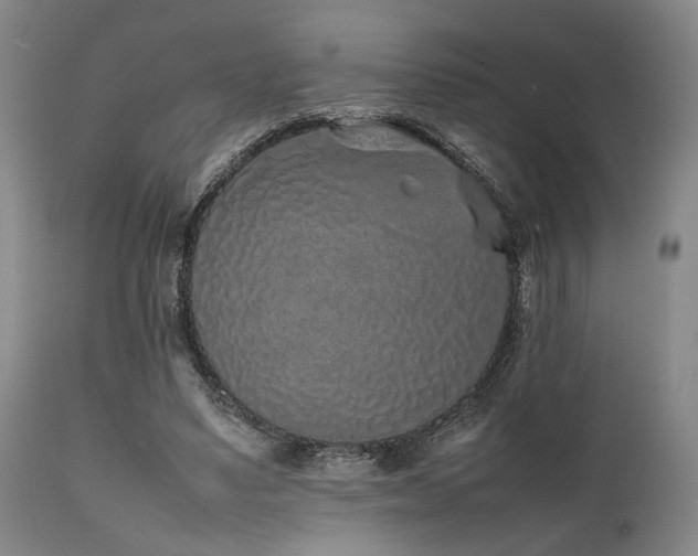 X0000112040491200908031520