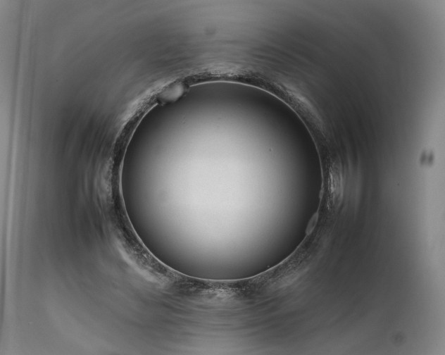 X0000112040492200908031520