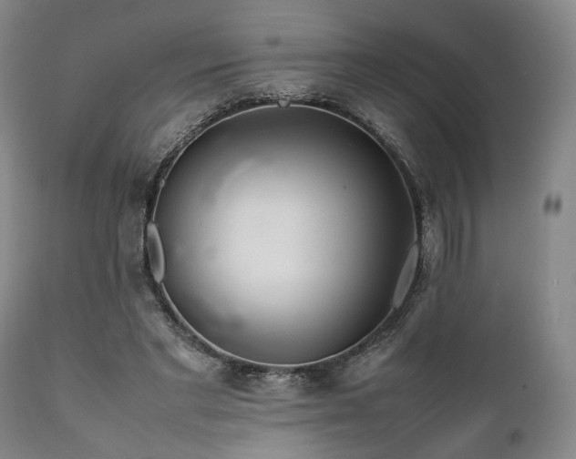 X0000112040493200908031520
