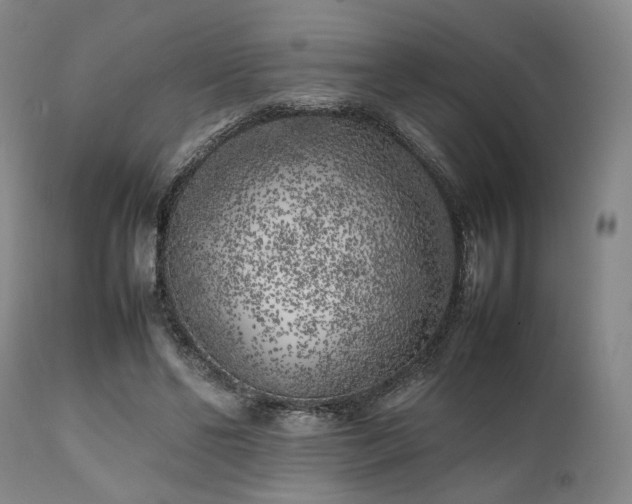 X0000112040494200908031520