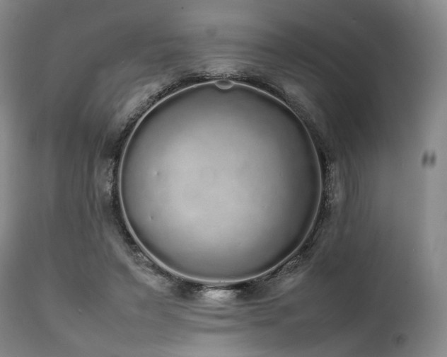 X0000112040495200908031520