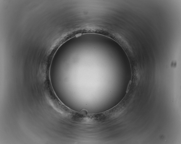 X0000112040496200908031520