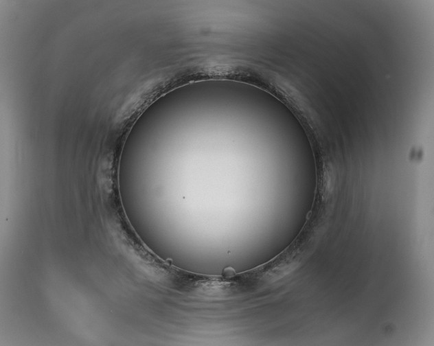 X0000112040497200908031520