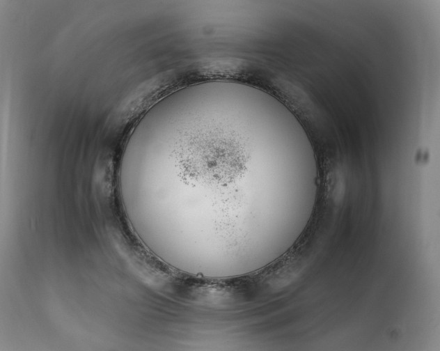 X0000112040498200908031520