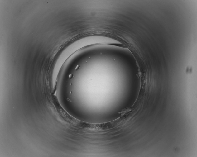 X0000112040500200908031520