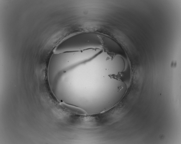 X0000112040501200908031520