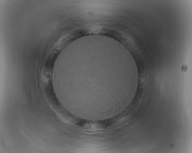 X0000112040503200908031520
