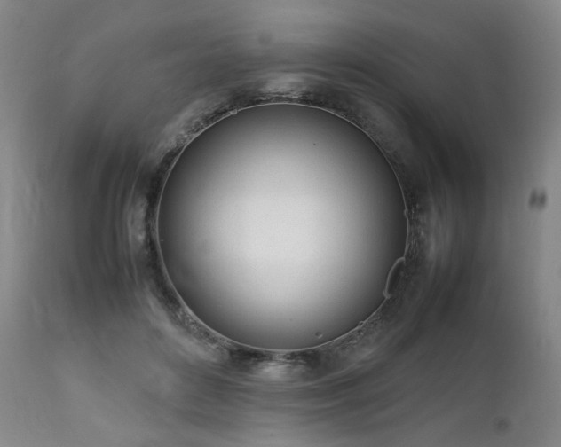 X0000112040504200908031520