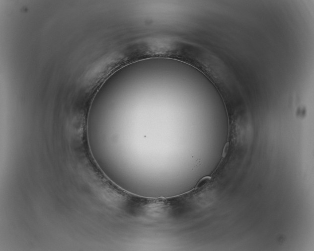 X0000112040505200908031520