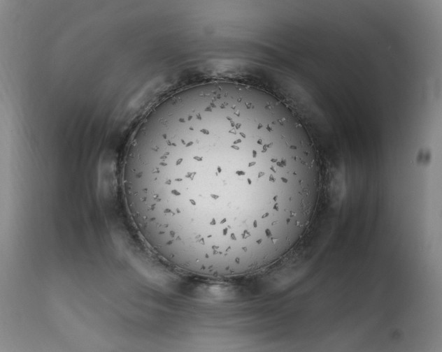 X0000112040506200908031520