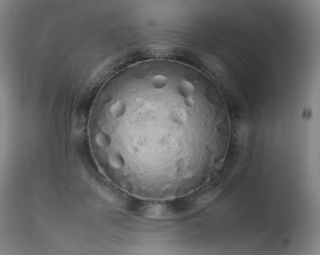 X0000112040507200908031520